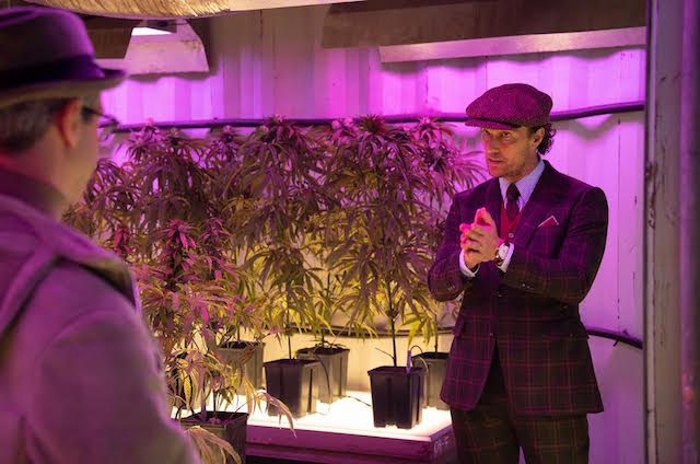 "The Gentlemen" de Guy Ritchie. Plantations de cannabis.
